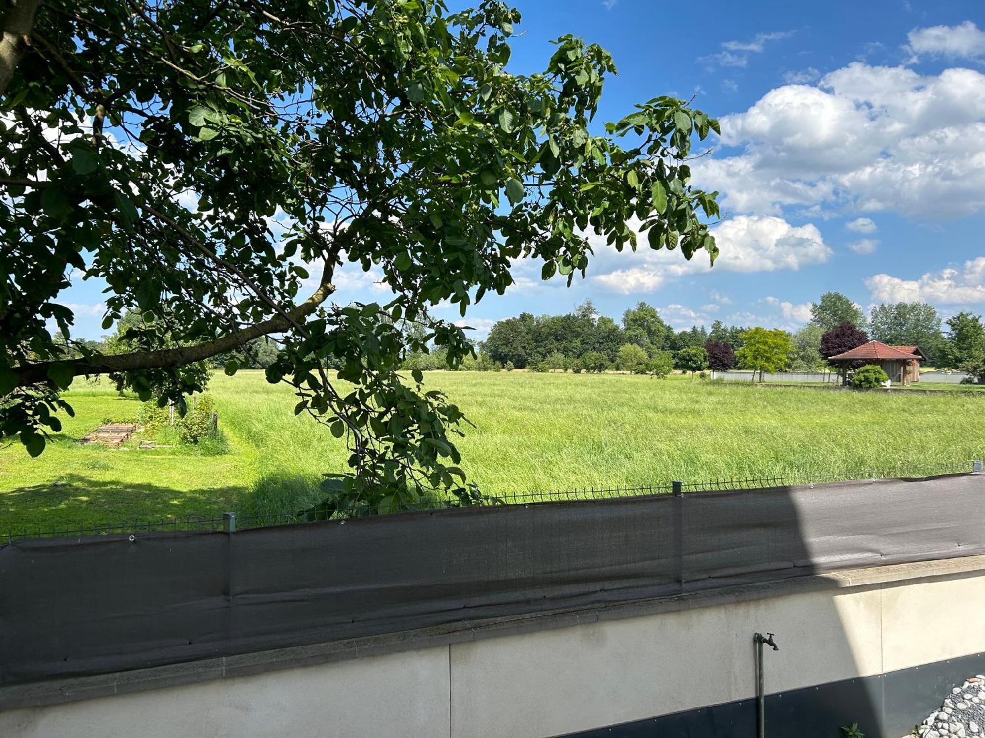 Charmant Studio Avec Terrasse Ebersheim エクステリア 写真